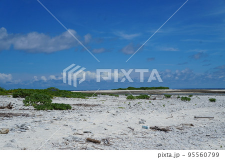神山島 無人島 神山島 無人島 95560799