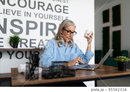 portrait of a successful female auditor at work in the office in front of a laptop. Accounting 95562316