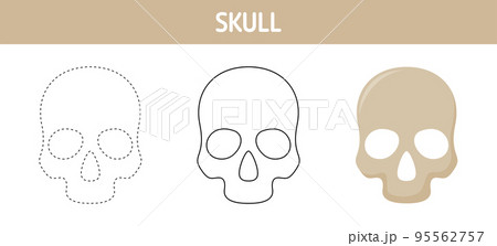 Skull tracing and coloring worksheet for kids 95562757