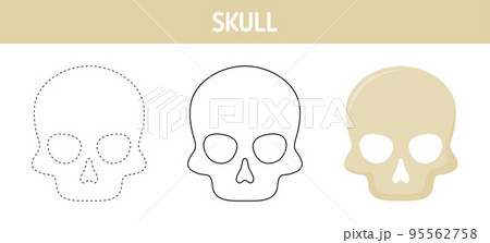Skull tracing and coloring worksheet for kids Skull tracing and coloring worksheet for kids 95562758