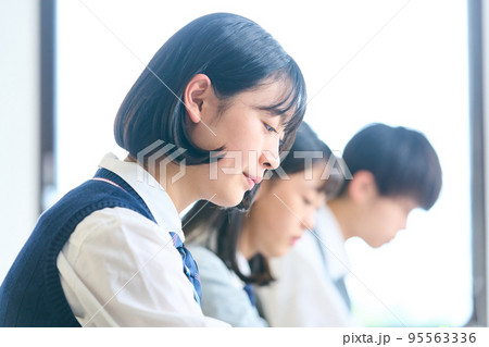 勉強する男女の中学生 95563336