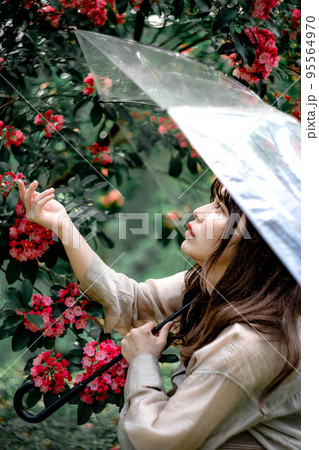 梅雨と雨傘と花と女性 95564970