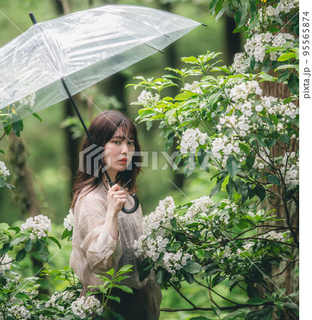 白いカルメリアと傘を持っている女性 95565874