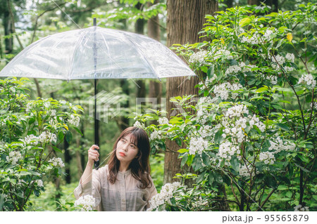 白いカルメリアと傘を持っている女性 95565879