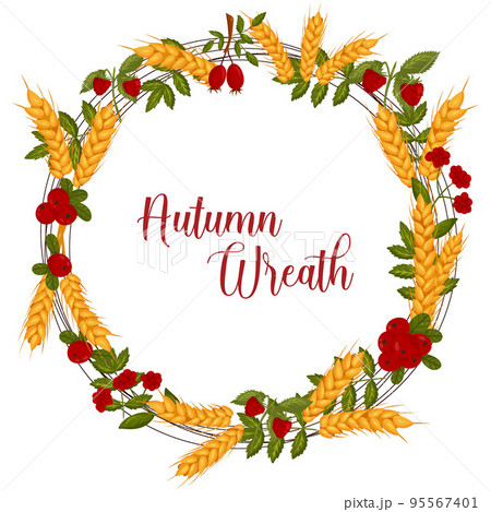 Autumn wreath with wheat, berries, and autumn leaves with space for text. Vector illustration isolated white background. 95567401