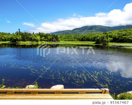 知床五胡の二湖(北海道斜里町) 知床五胡の二湖(北海道斜里町) 95567467
