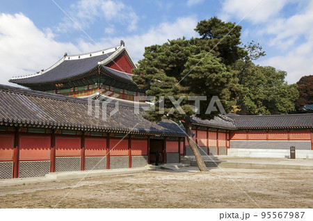 風景 故宮 宮殿 95567987