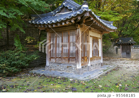風景 故宮 宮殿 95568185