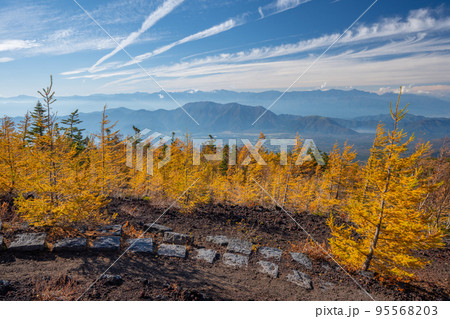 奥庭の紅葉　富士山 95568203