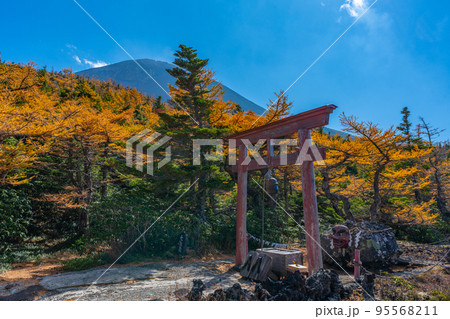 奥庭の紅葉 富士山 奥庭の紅葉 富士山 95568211