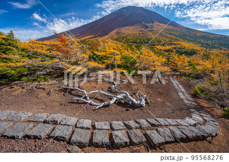 奥庭の紅葉 富士山 奥庭の紅葉 富士山 95568276