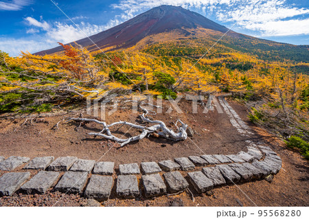 奥庭の紅葉　富士山 95568280