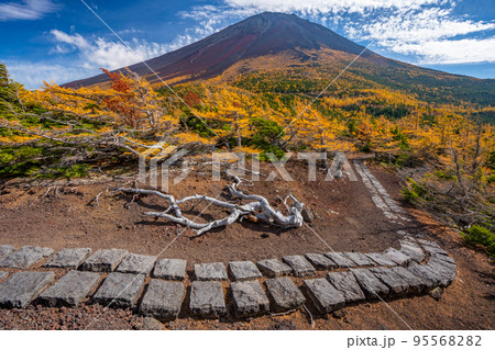 奥庭の紅葉　富士山 95568282
