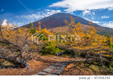 奥庭の紅葉　富士山 95568290