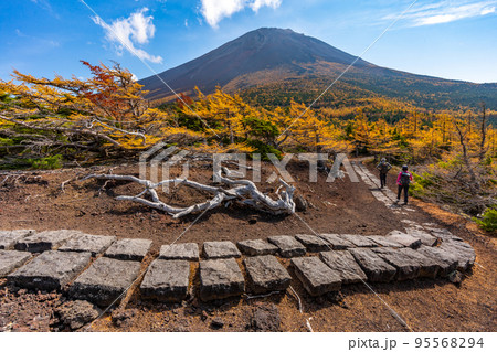 奥庭の紅葉　富士山 95568294