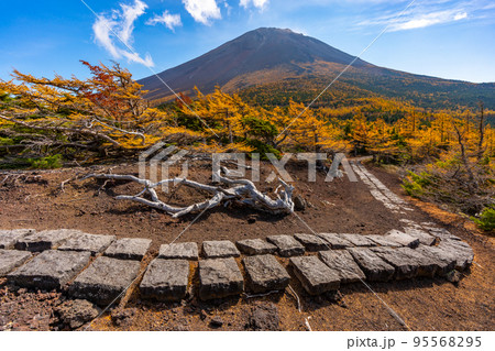 奥庭の紅葉　富士山 95568295