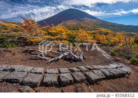 奥庭の紅葉　富士山 95568312