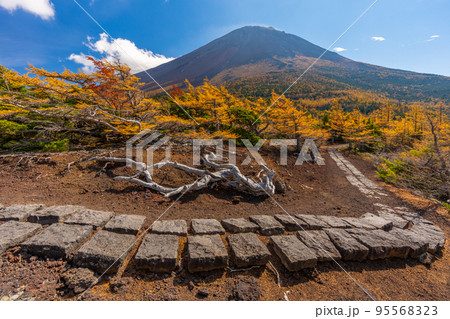 奥庭の紅葉 富士山 奥庭の紅葉 富士山 95568323