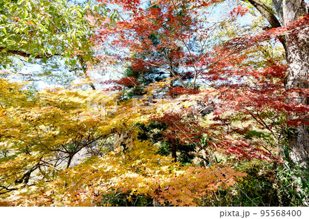 天竜峡 紅葉27 天竜峡 紅葉27 95568400