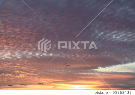 夕暮れ 夕暮れ 95568435