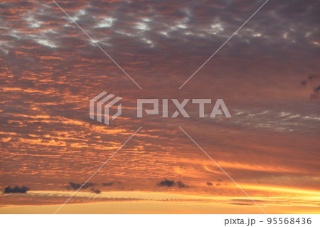 夕暮れ 夕暮れ 95568436