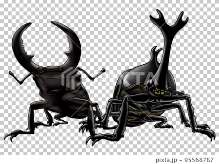 犀牛甲蟲和鍬形甲蟲 95568787