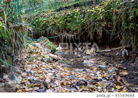 The bed of a forest stream with stones, central Russia 95569688