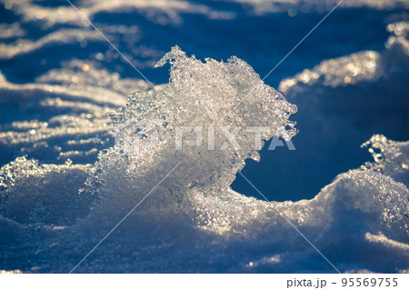 Melting snow under the march sun, beautiful texture of shiny melting snow 95569755