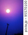 Silhouette of a bird at sunset 95570100