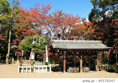 長岡天満宮紅葉 長岡天満宮紅葉 95570347