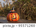 Halloween pumpkin in autumn forest. Fall Season mood photo 95571260