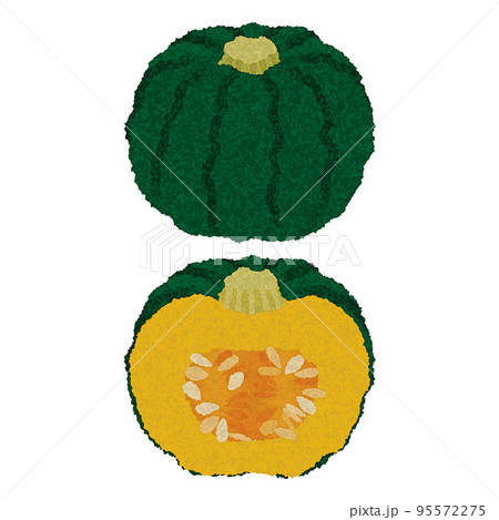 丸ごと日本かぼちゃと半分にカットした日本かぼちゃ_水彩タッチ_