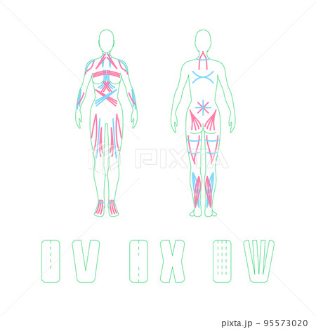 Kinesio Taping Concept Color Thin Line Element Set. Vector illustration of Kinesio Tape for Back and Neck Kinesio Taping Concept Color Thin Line Element Set. Vector illustration of Kinesio Tape for Back and Neck 95573020