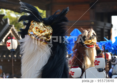姫路・播州の秋祭り　大塩天満宮　毛獅子の道中舞 95573640