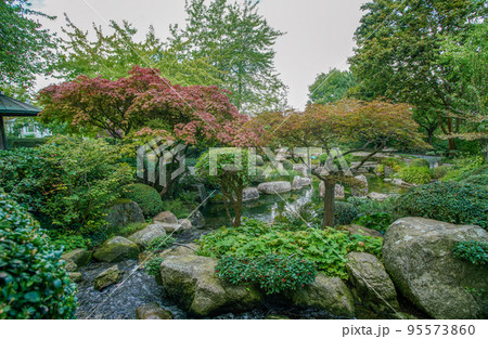 Japanese garden in Wurzburg with japanese maples and artificial stream Japanese garden in Wurzburg with japanese maples and artificial stream 95573860
