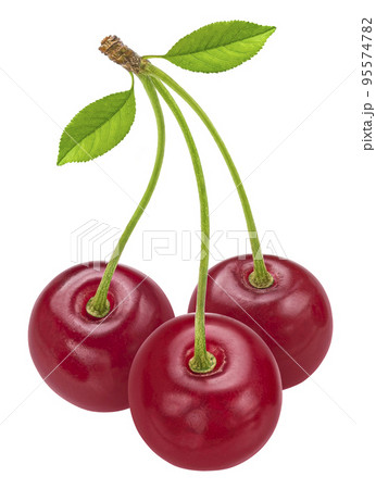 Cherries isolated on white background Cherries isolated on white background 95574782