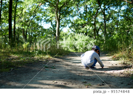 森林の散歩道の中で土が気になってしゃがんでいる男の子 森林の散歩道の中で土が気になってしゃがんでいる男の子 95574848