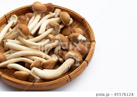 Yanagi Matsutake mushroom on white background. Yanagi Matsutake mushroom on white background. 95576128