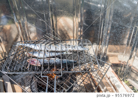 【中津川の河川敷でオートキャンプ　熾火を使って生サンマの塩焼き】 95576972