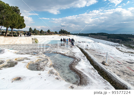 トルコ 七面鳥 ターキー 95577224