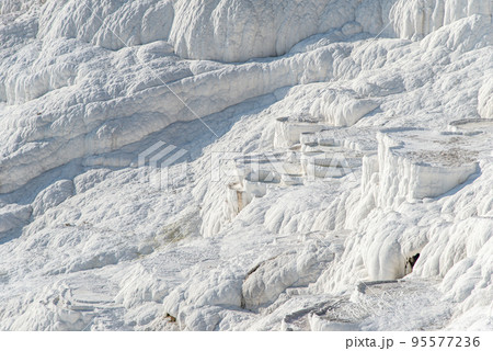トルコ 七面鳥 ターキー 95577236