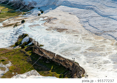 トルコ 七面鳥 ターキー 95577237