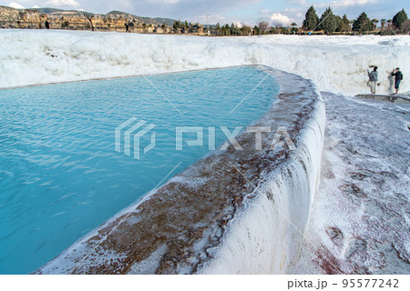 トルコ 七面鳥 ターキー 95577242