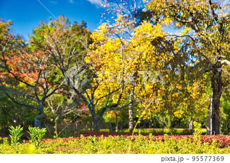 越前陶芸村ー秋 95577369