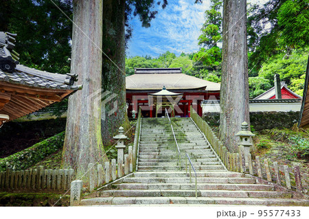 金剛證寺本殿と参道石段 金剛證寺本殿と参道石段 95577433