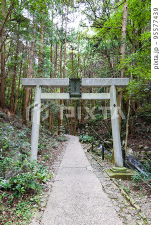 天の岩戸に続く鳥居（縦） 95577439