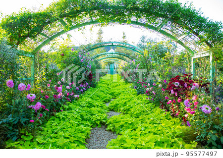 浜名湖ガーデンパーク花の美術館 95577497