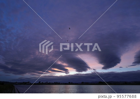 神秘的な波状の雲が現れた秋の夜明け空と鳥・超広角・空主体・221006am 95577688