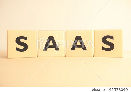 SAAS(サース)の文字素材 SAAS(サース)の文字素材 95578040