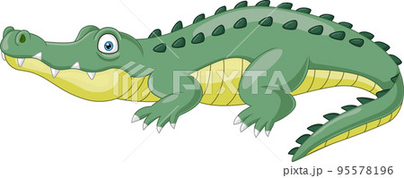 Cartoon crocodile isolated on white background 95578196